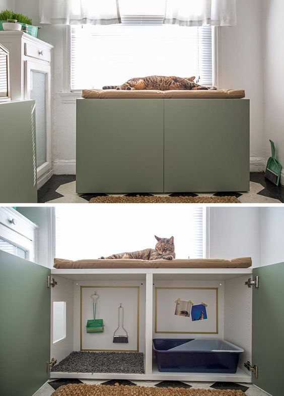 cache-litiere-chat3