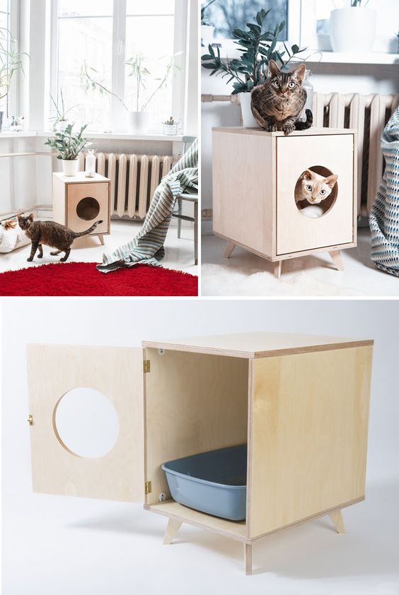 cache-litiere-chat2