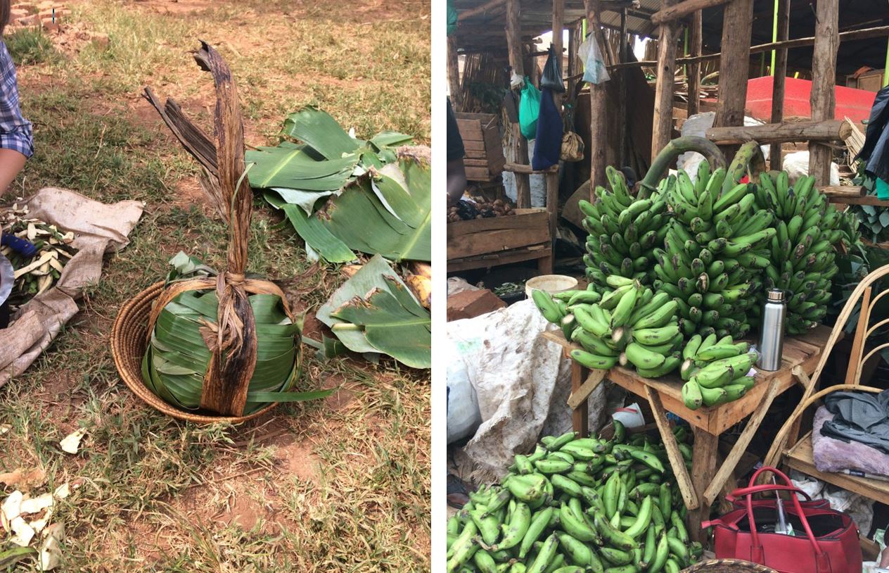 matooke bananes Ouganda