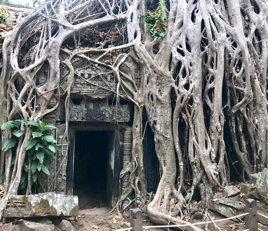 Ta Prohm
