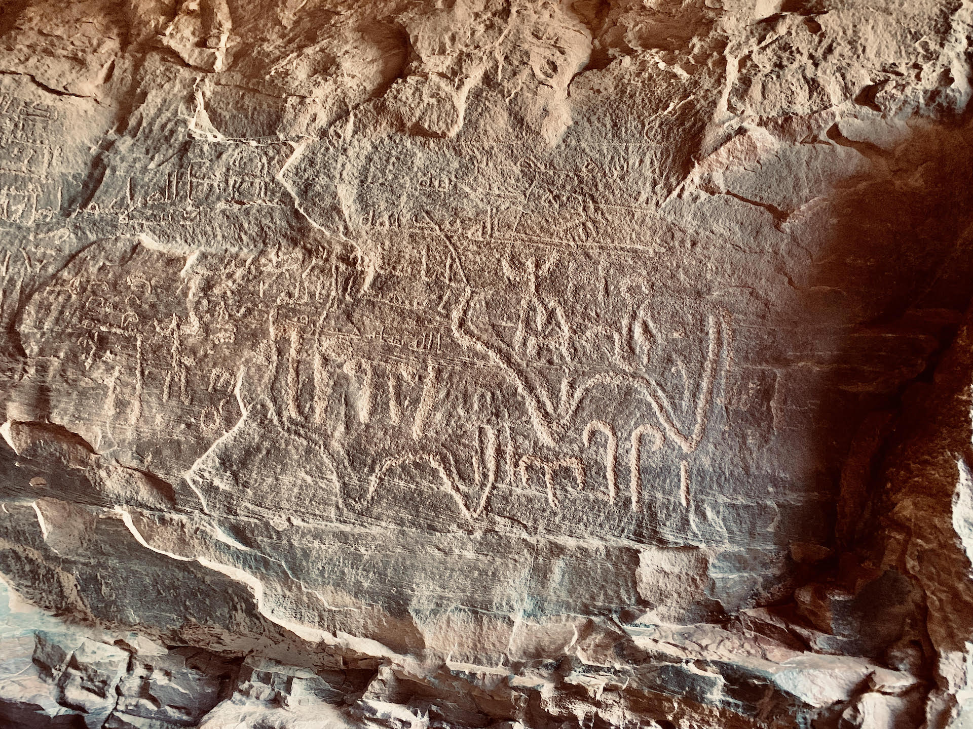 inscriptions petroglyphes wadi rum Cogestim