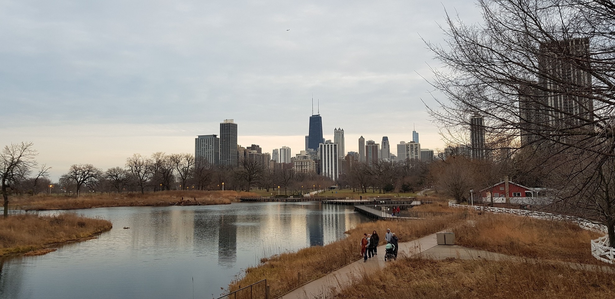 skyline cogestim chicago