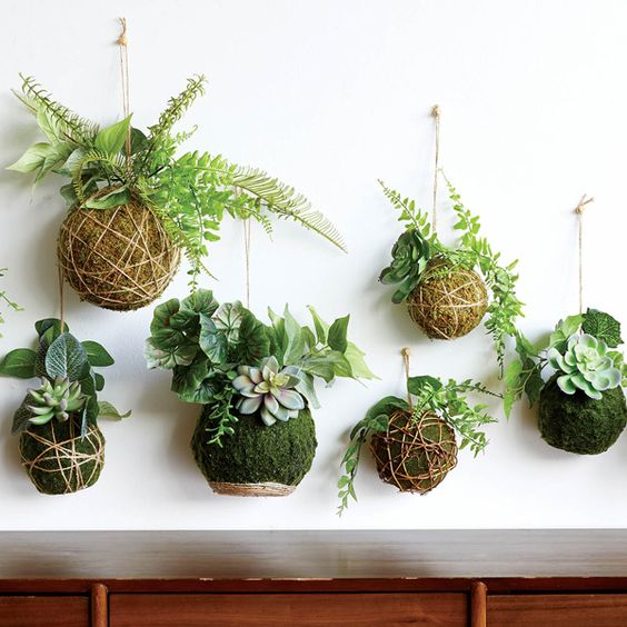 kokedama Cogestim
