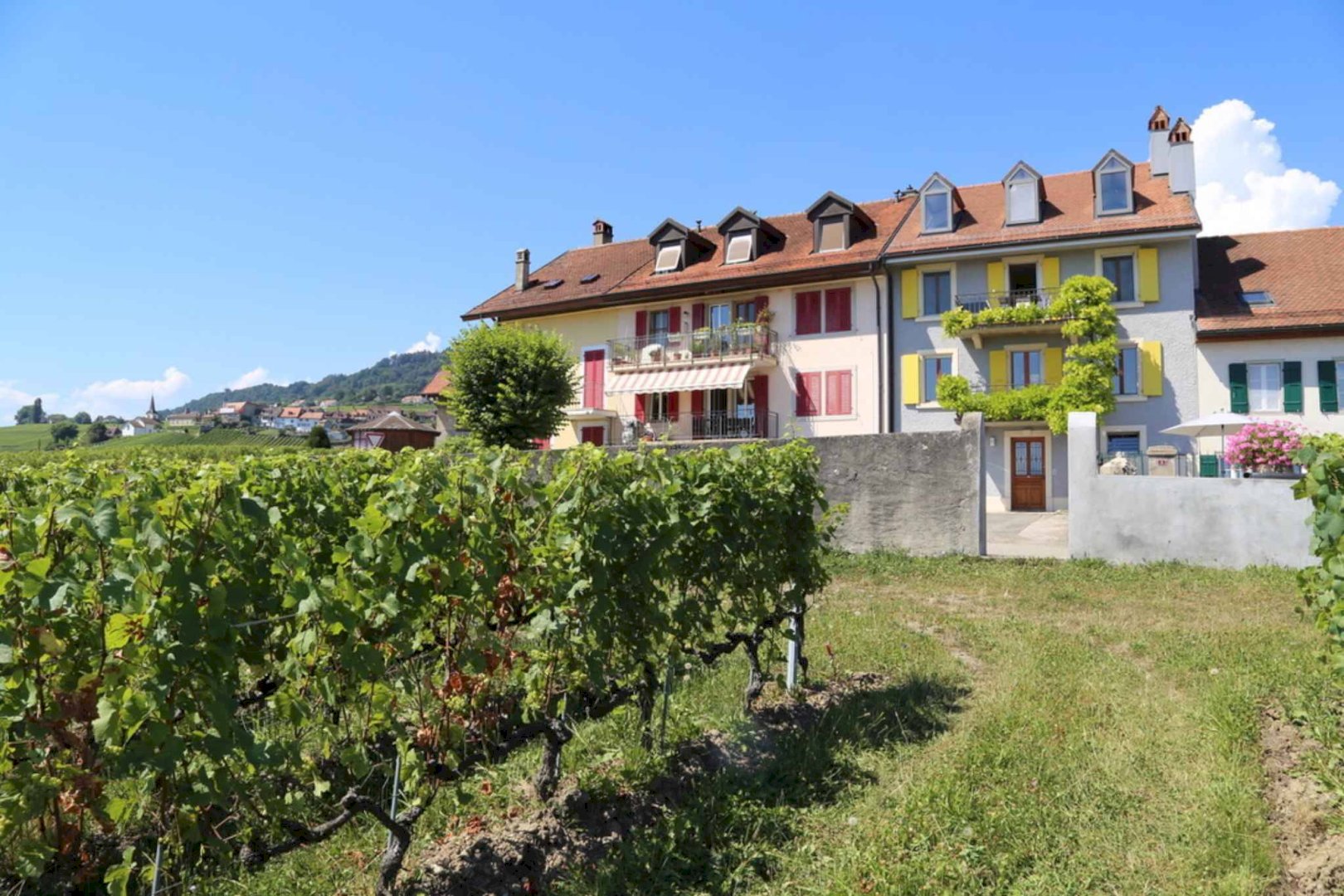Au cœur du vignoble, immeuble locatif avec vue panoramique sur le Lac & Alpes