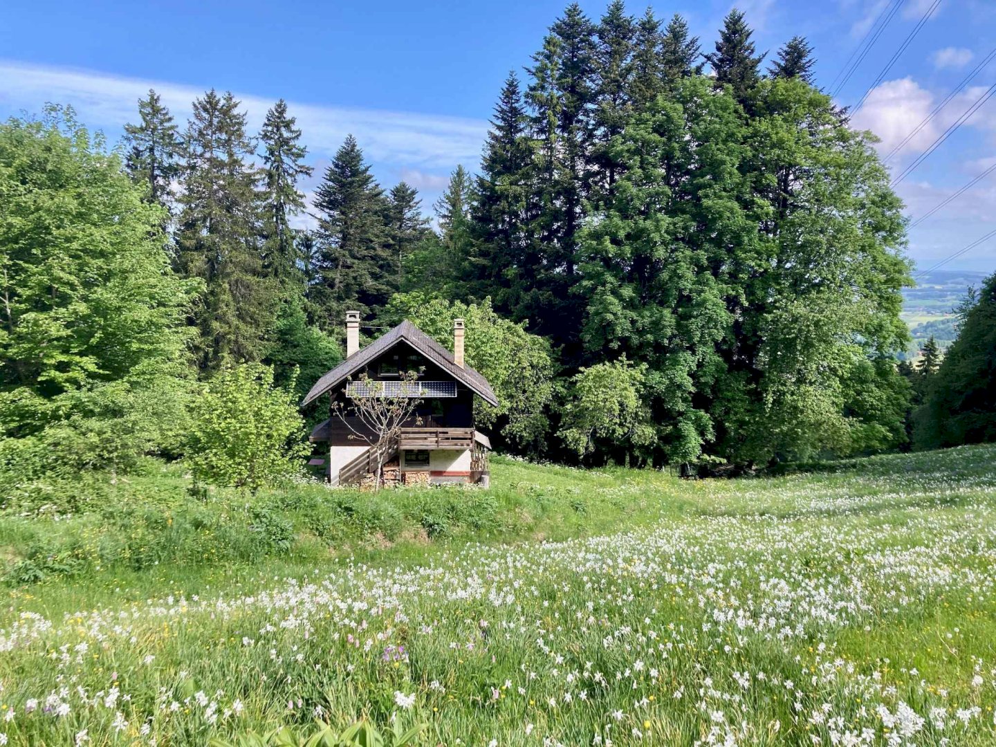 Chalet de charme au cœur de la nature 
Parcelles de 16’301 m²