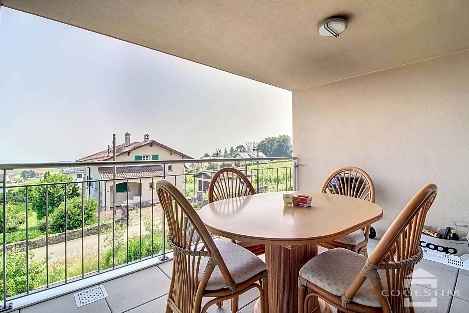 Bel appartement avec vue panoramique sur le Lac et les Alpes