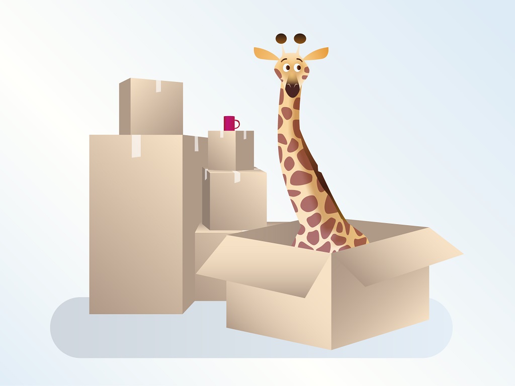 Dépôt d’environ 40m2 au sous-sol